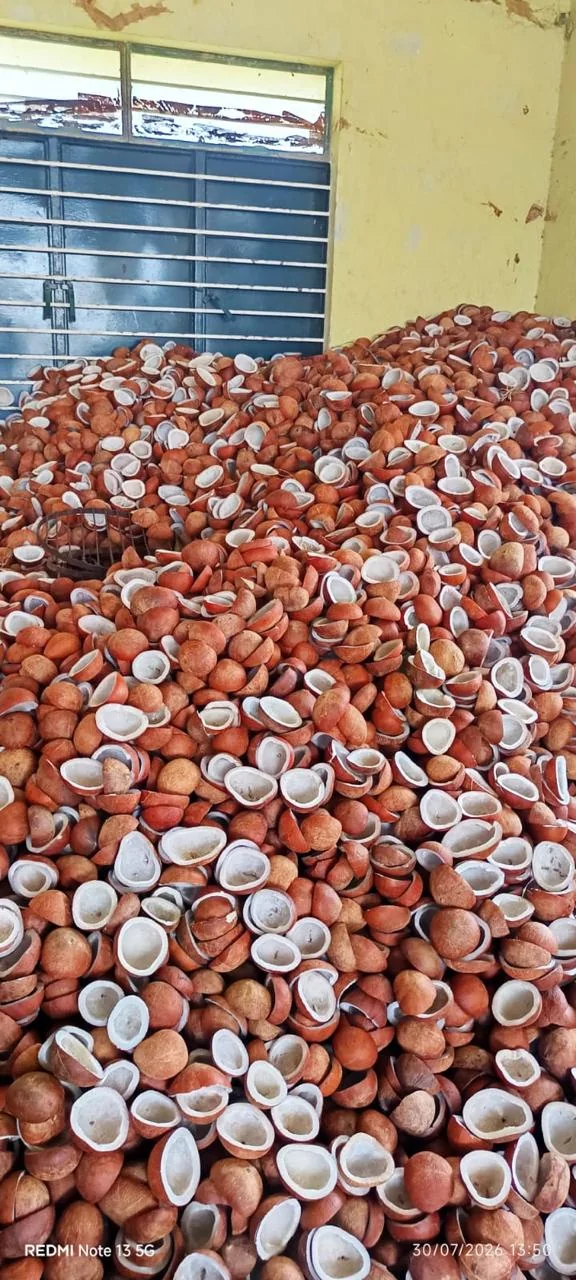 Coconut shells