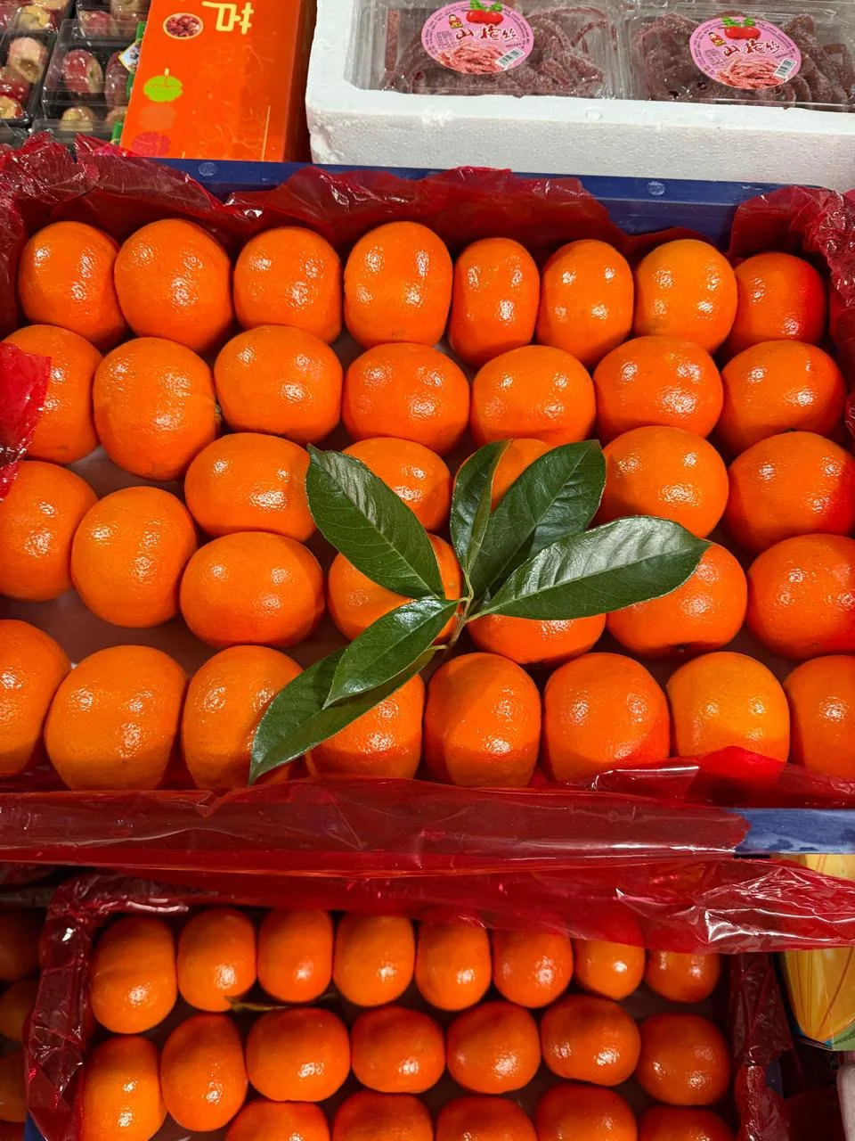 Citrus